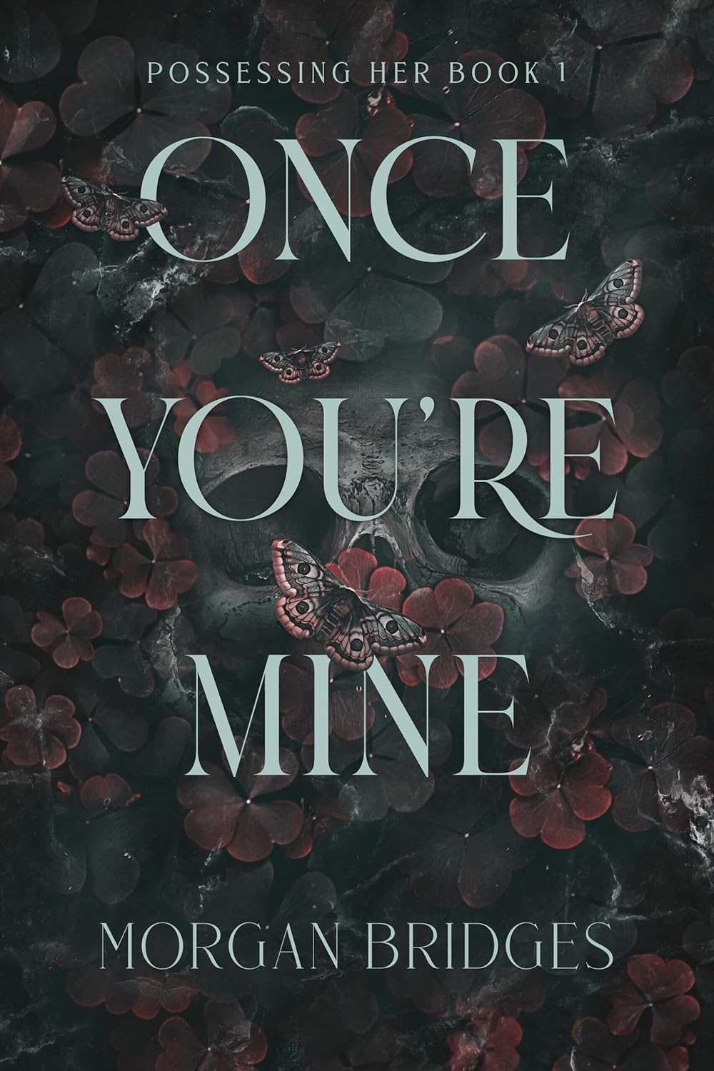 Once You're Mine: Possessing Her Book 1