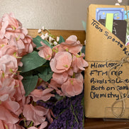 Blind Date with a Book