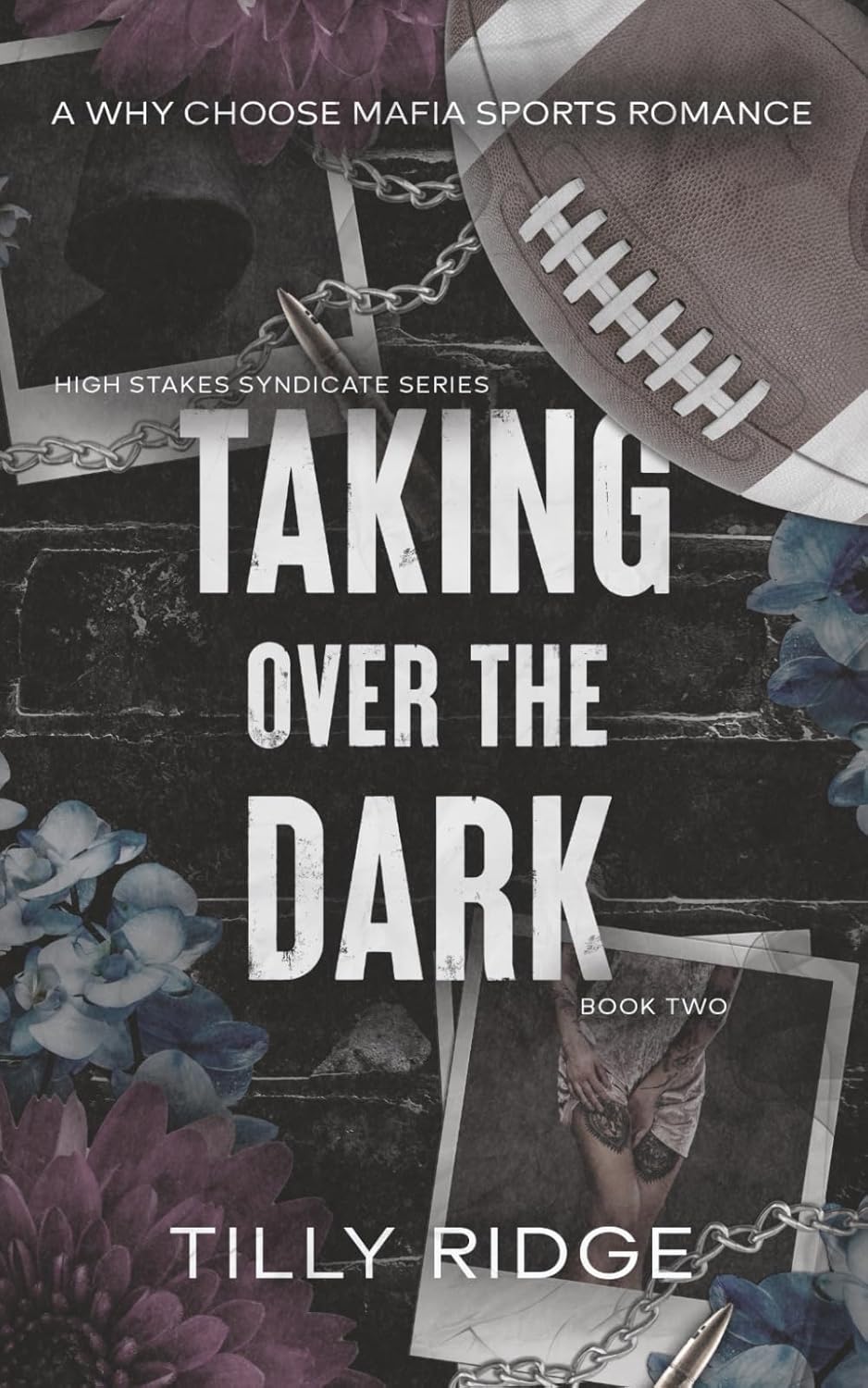 Taking Over the Dark: A Why Choose Mafia Sports Romance (High Stakes Syndicate Series)