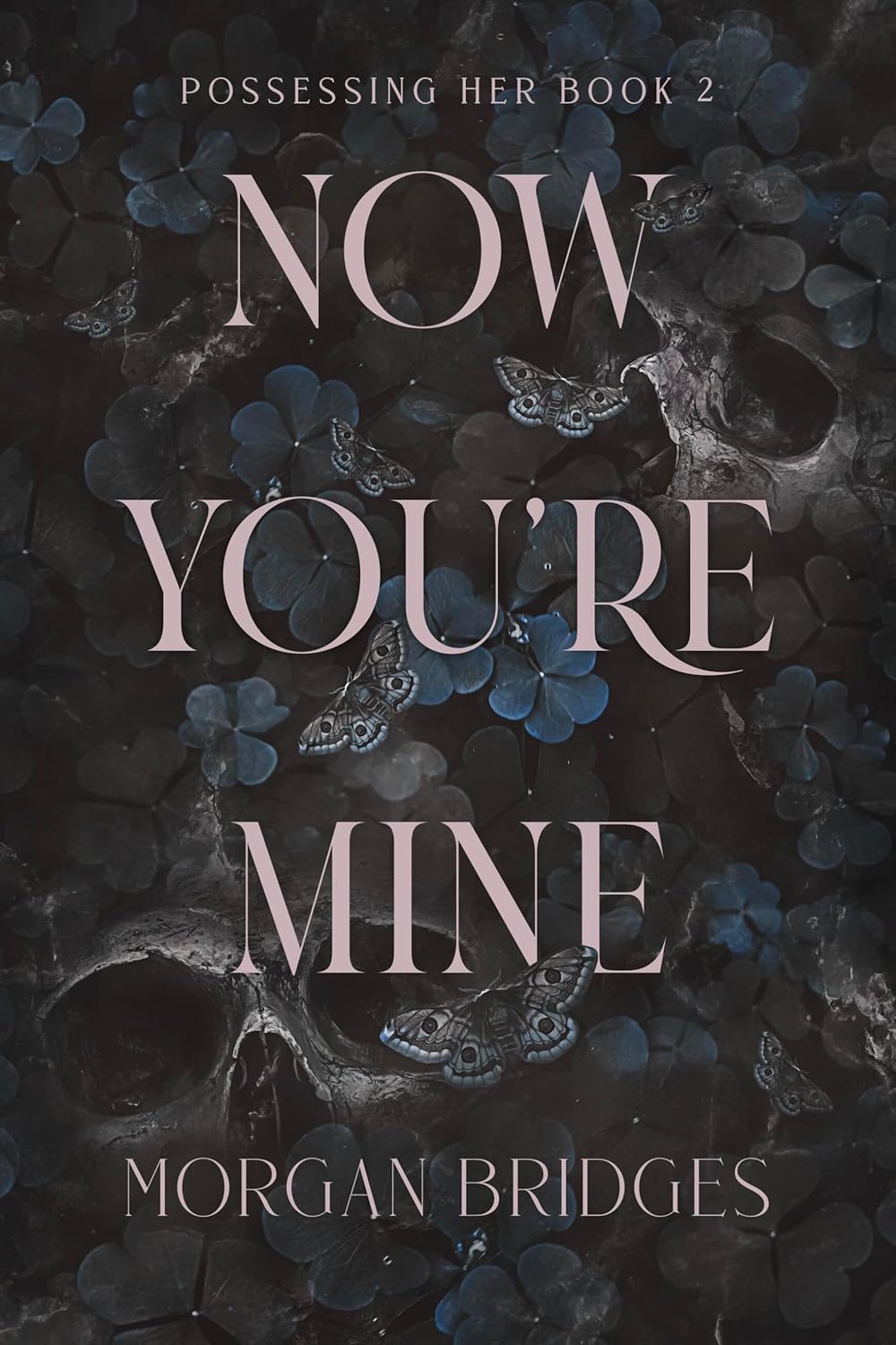 Now You're Mine: Possessing Her Book 2